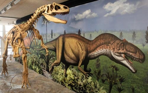 Reptiles & Dinosaurs
