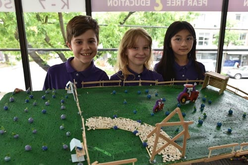 PBL at Pear Tree School